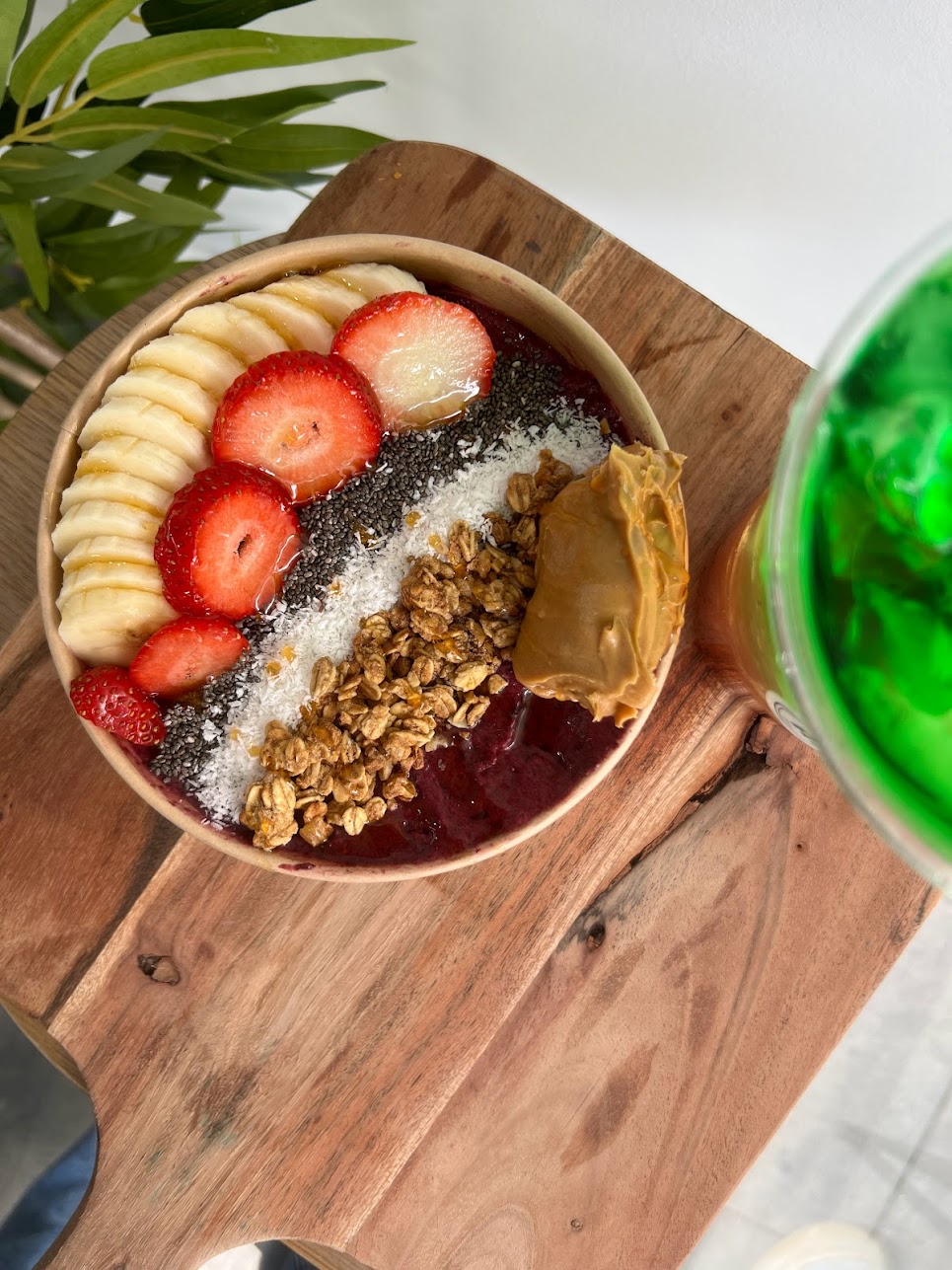 Protein Balls