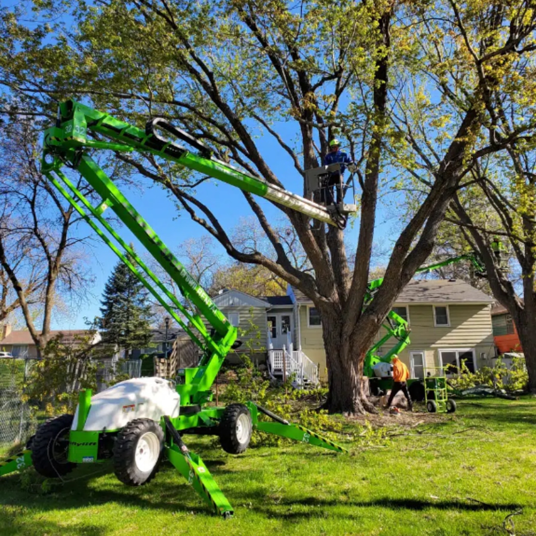 Stump Grinding