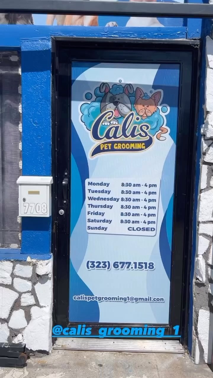 Nail care and paw trim