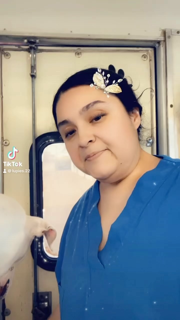 Senior and anxious dog care