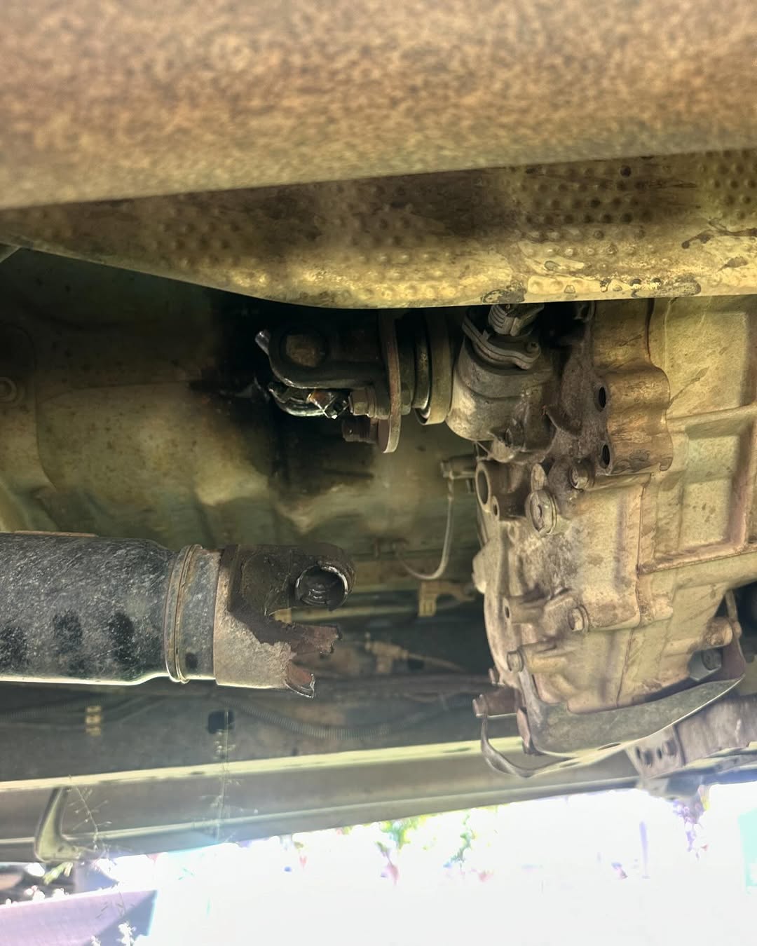 Mobile Inspections