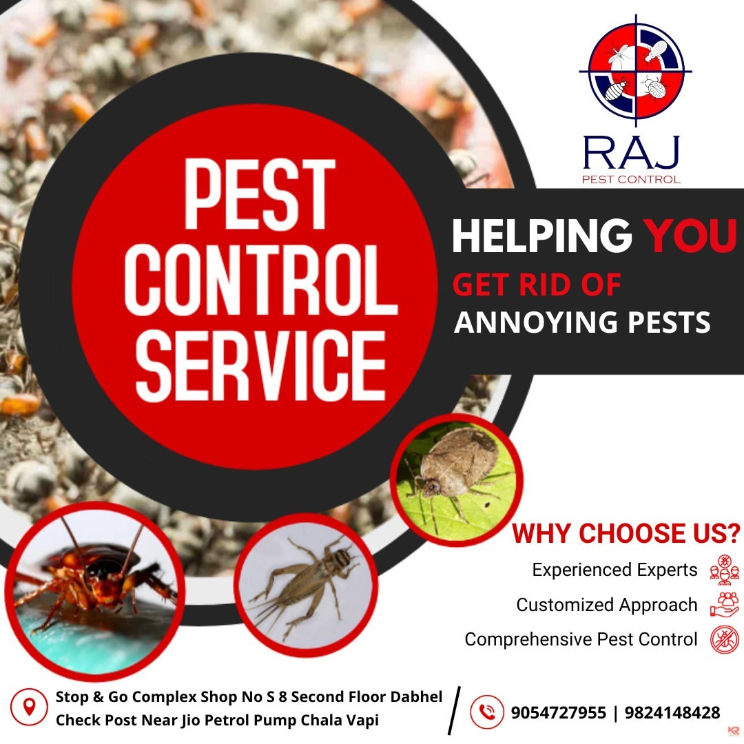 Termite Treatment
