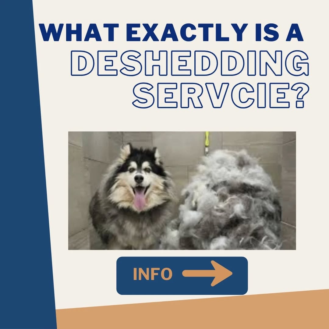 Breed-Specific Cuts