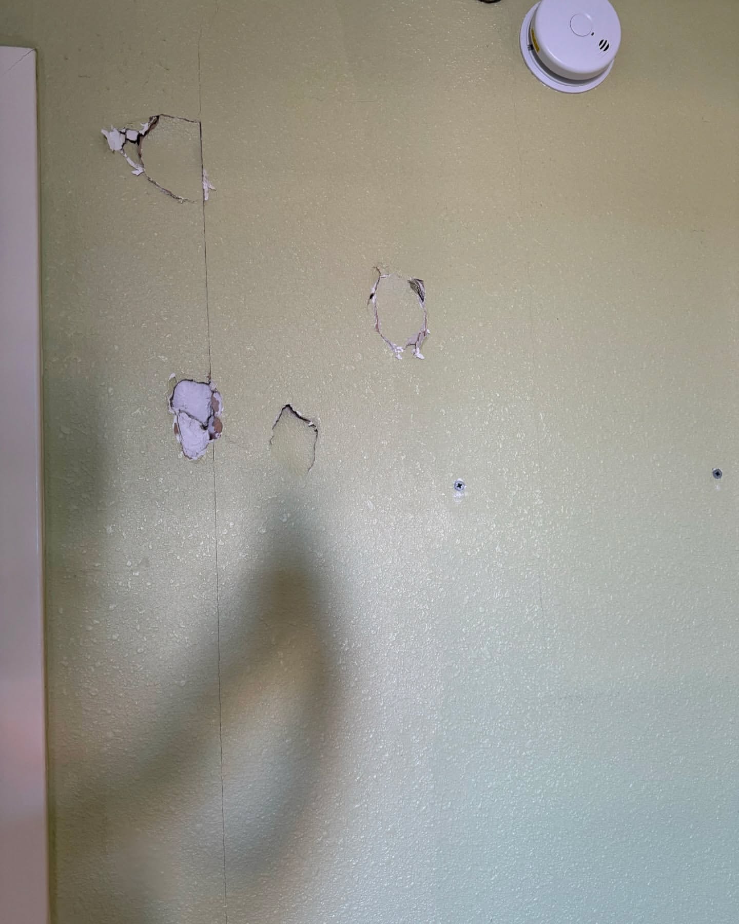 Plasterboard & Wall Finishing