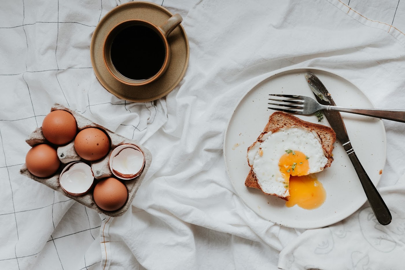 Senior Wellness Nutrition