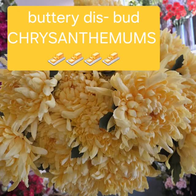 Florist Supplies